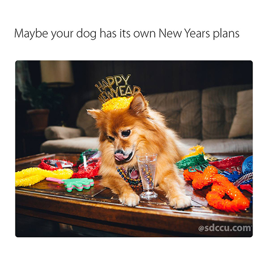 sdcuu-case-study-small-2