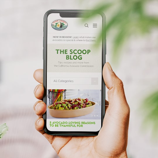 gallery-image-02-min-ca