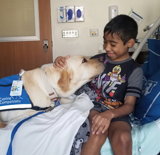 Choc_CaseStudy_Slice_2