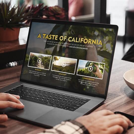 gallery-image-01-min-ca