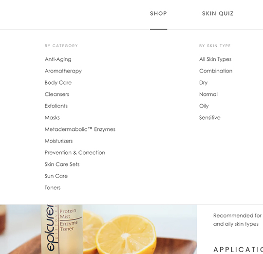 rdi-epicuren-seo-casestudy_image1